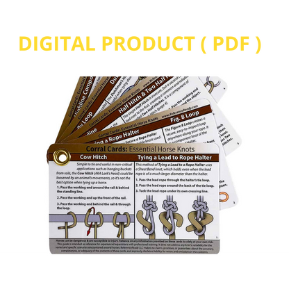 Horse Knot Cards