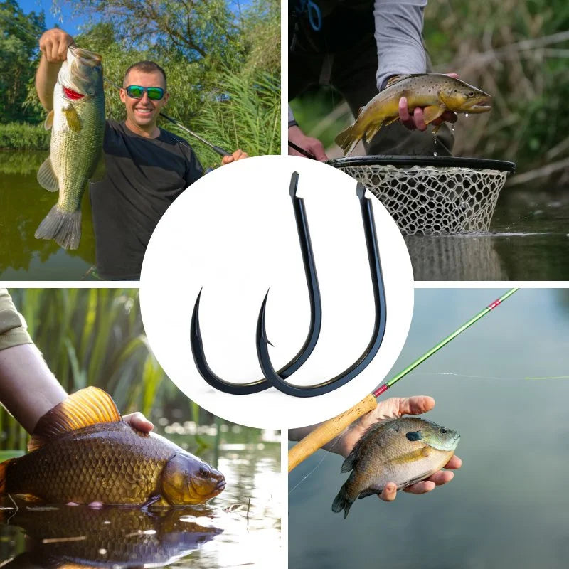 Barbed & Barbless Fishing Hooks