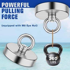 Magnetic Sheep Eye Hook