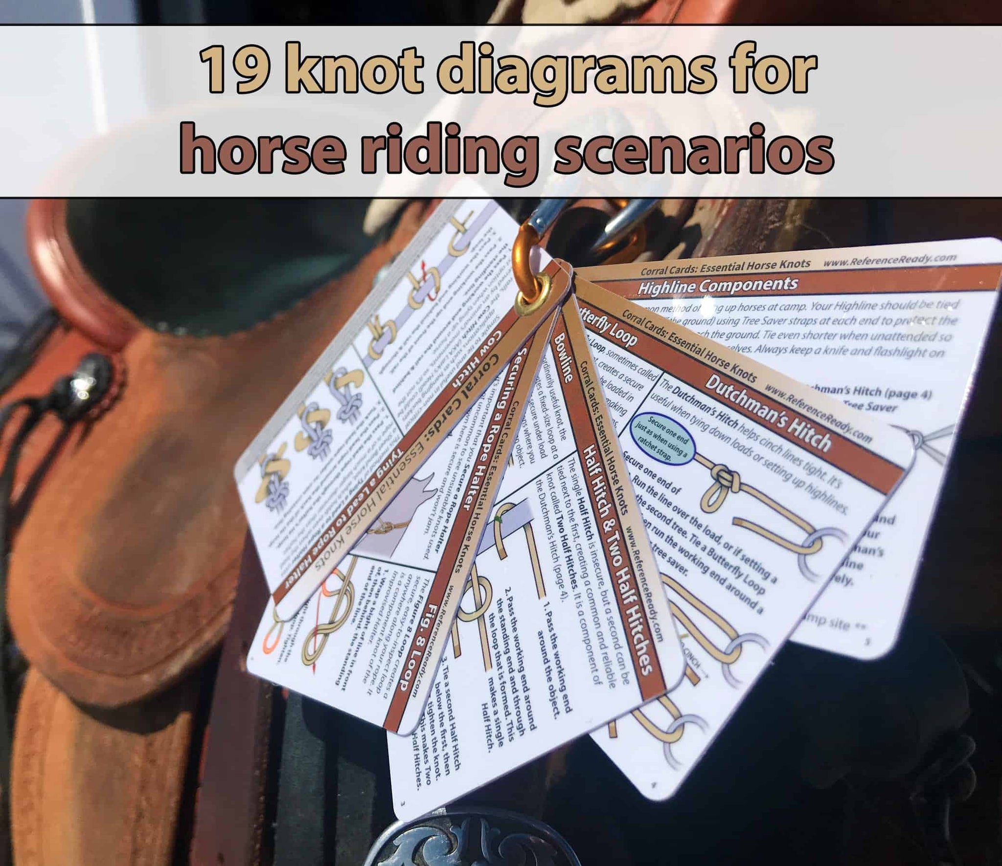 Horse Knot Cards