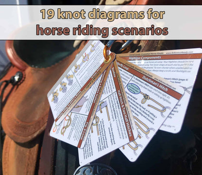 Horse Knot Cards