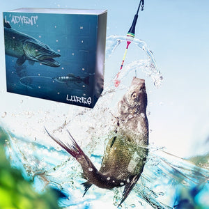 Fishing scene with silhouette against a colorful sunset sky, featuring the brand 'L'Advent'.