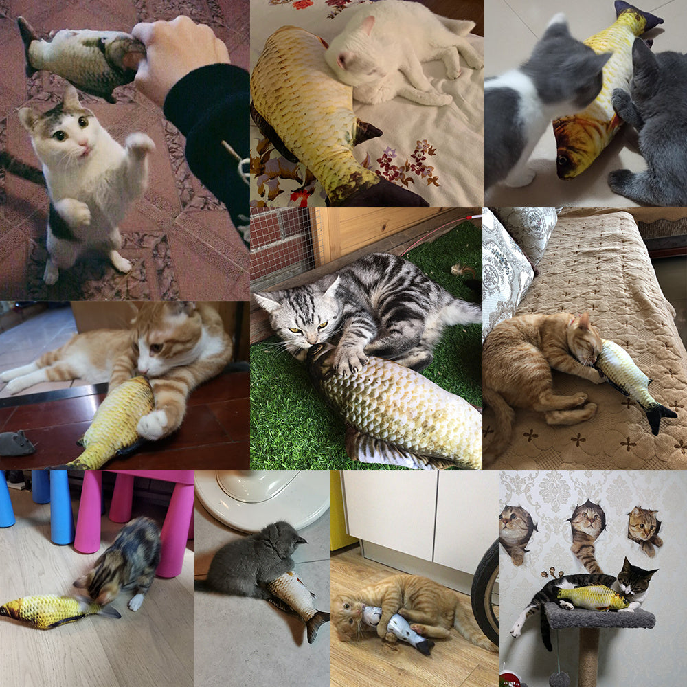 Electric Jumping Fish Toy – No Catnip