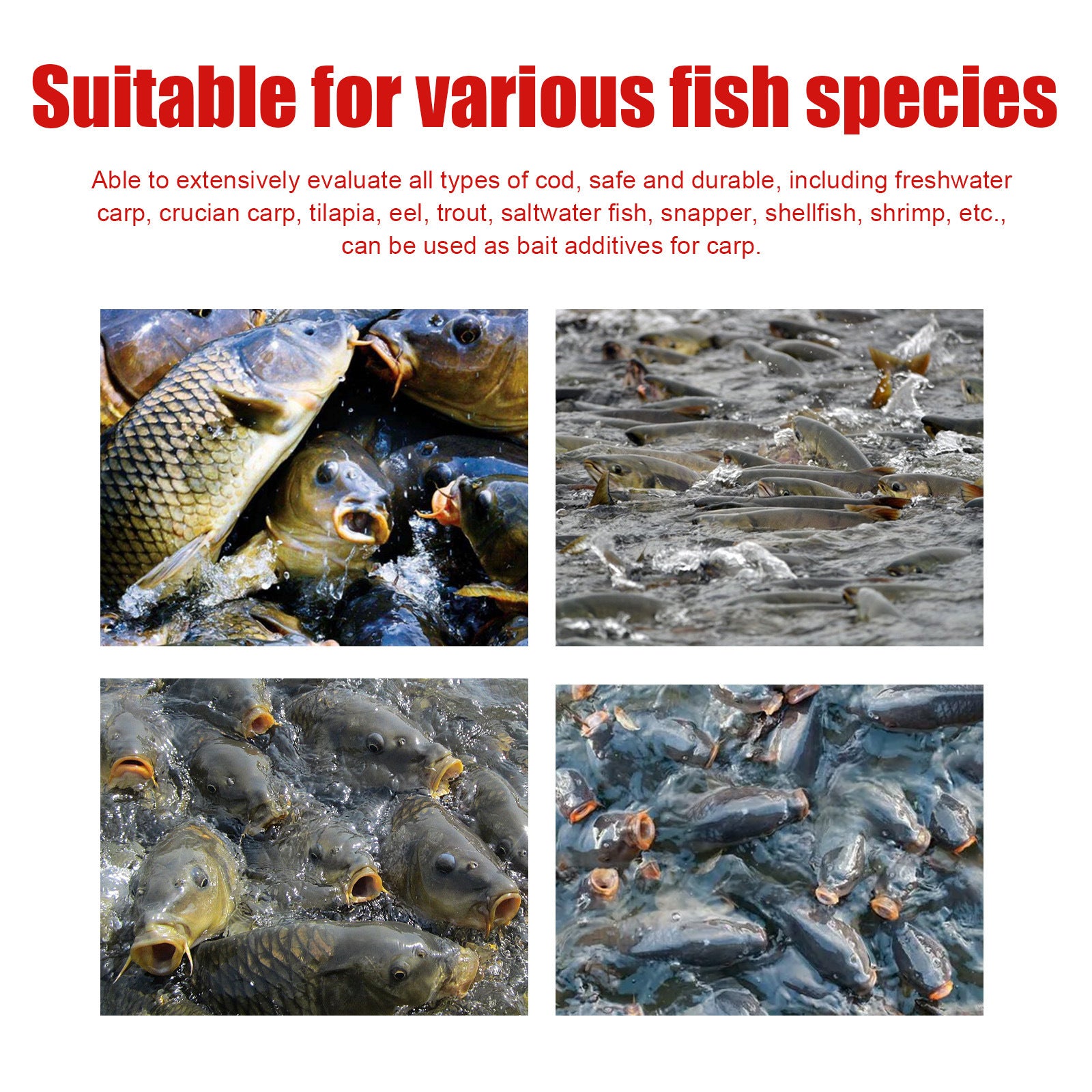 concentrated fishing bait