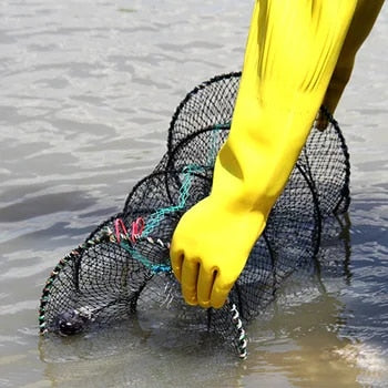 Fishing Traps