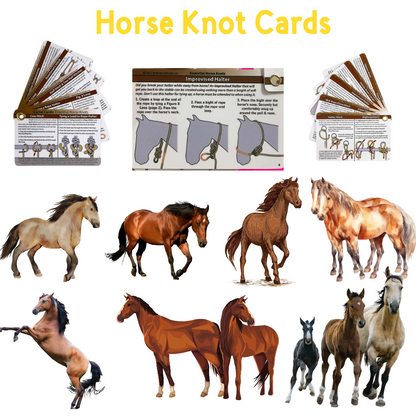 Horse Knot Cards