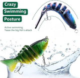 Minnow lure Success