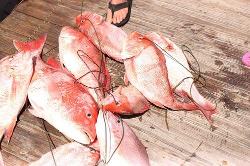 High Simulation Lure Soft Bait