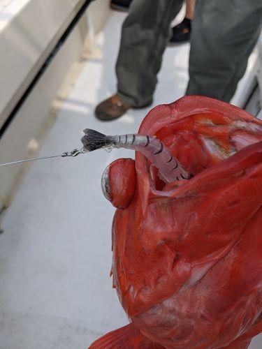 High Simulation Lure Soft Bait