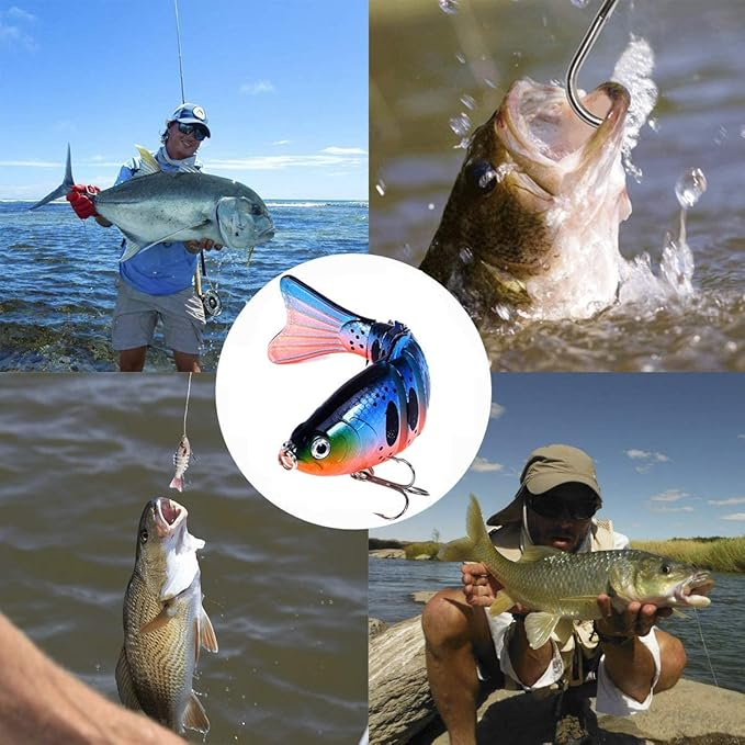 Minnow lure Success