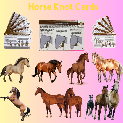 Horse Knot Cards