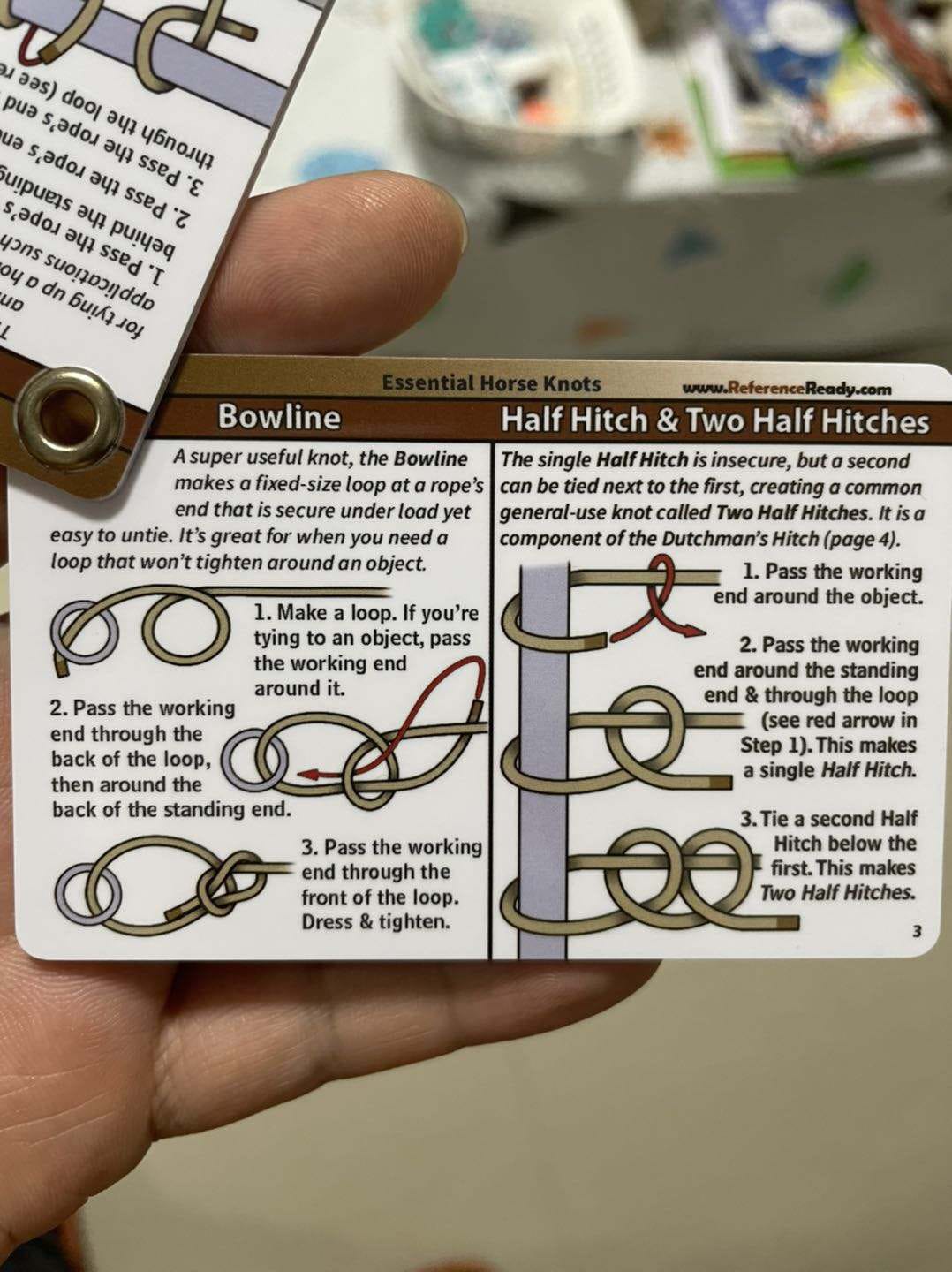 Horse Knot Cards