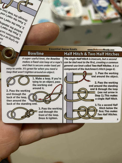 Horse Knot Cards