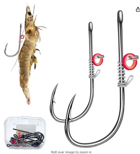 1_Live Fish Hook on Shrimp Back