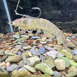 ShrimpSpear™