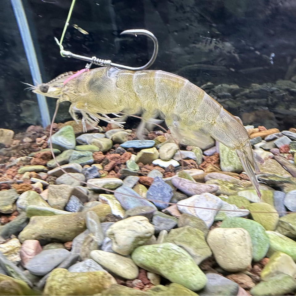 ShrimpSpear™