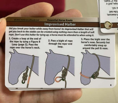 Horse Knot Cards