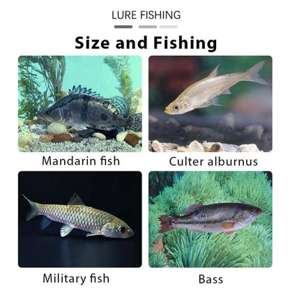 🎣 Pre-Rigged Soft Lures