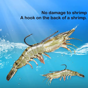 1_Live Fish Hook on Shrimp Back