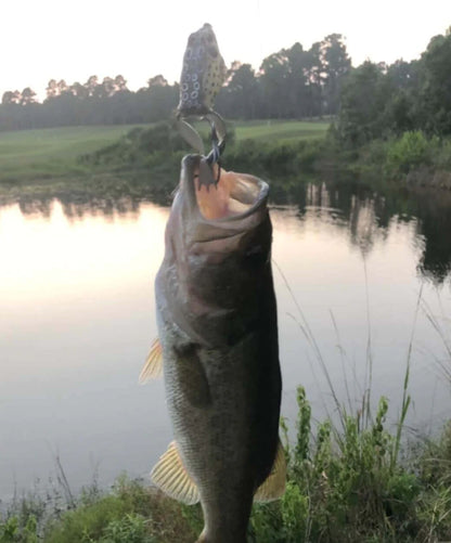 JumpMaster Frog Lure