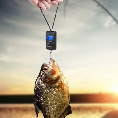 Scale for Fishing