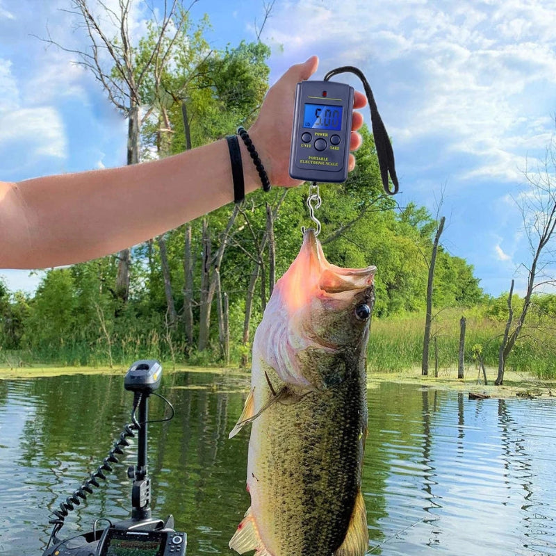Scale for Fishing