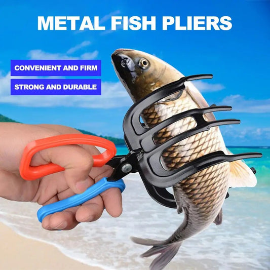FishFlex