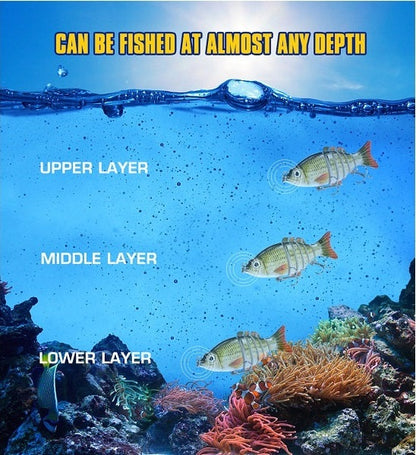 B fishing lures